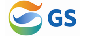 GS E&C (VGSI)